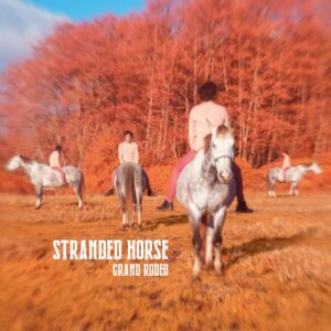 Stranded Horse - Grand Rodéo COVER NHD2